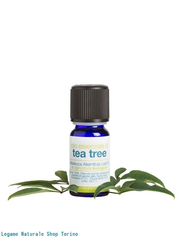 Olio essenziale tea tree 10ml