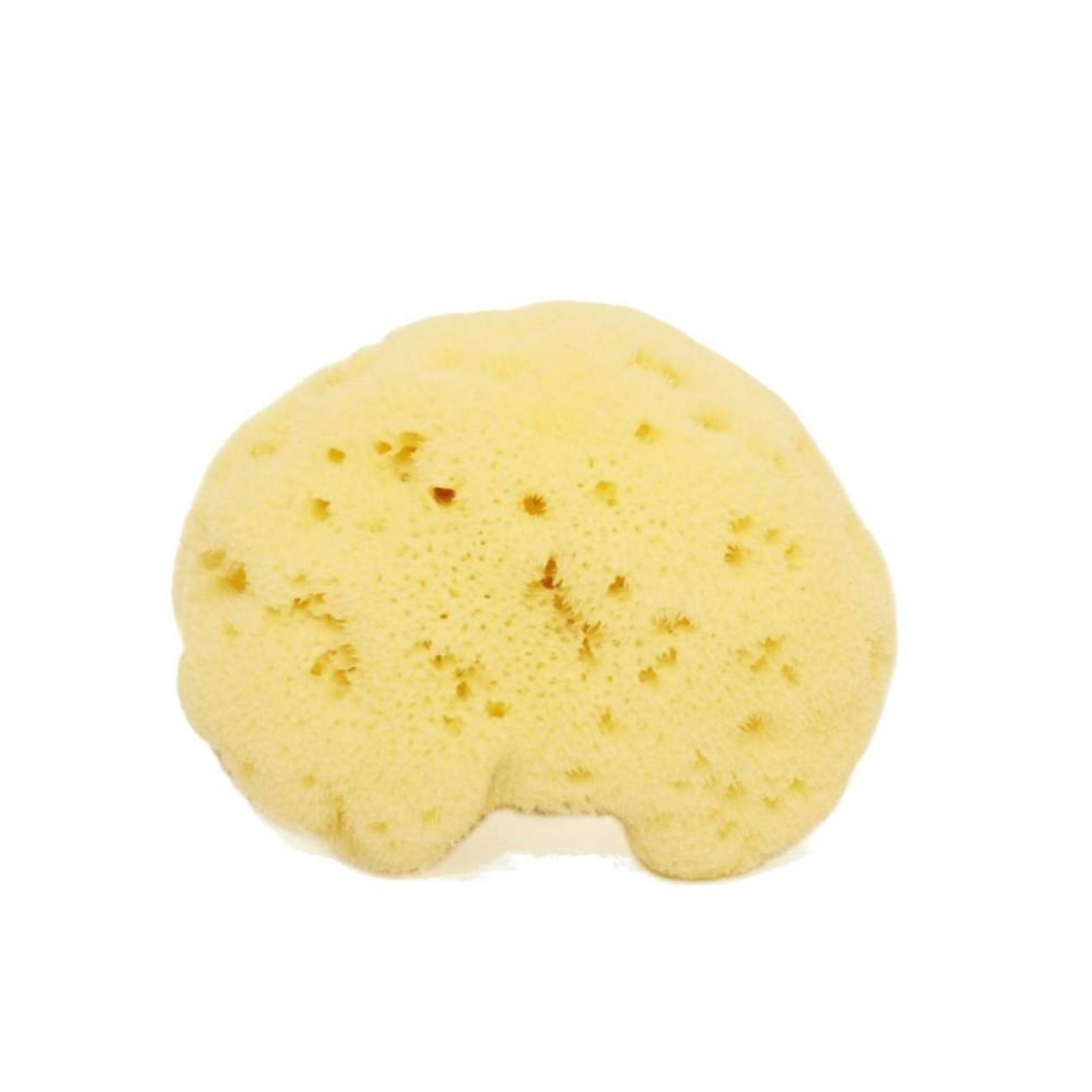 SPUGNA FINE DAMA SBIANCATA 3/4 GR