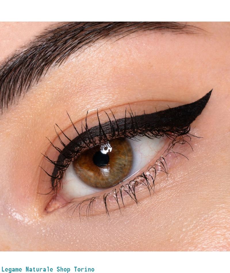 Eyeliner Liner Shake Basic