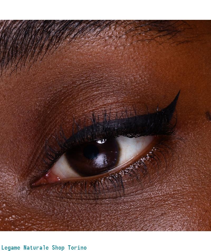 Eyeliner Liner Shake Basic