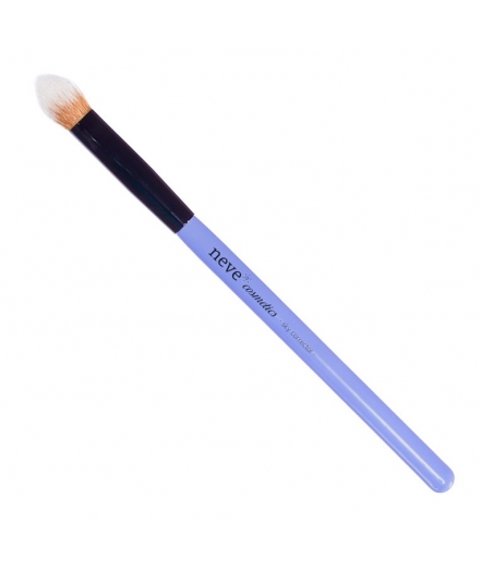 Pennello Sky Corrector